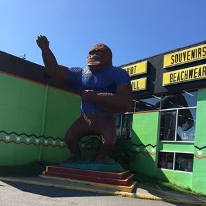 Meet your Posher, Tanya